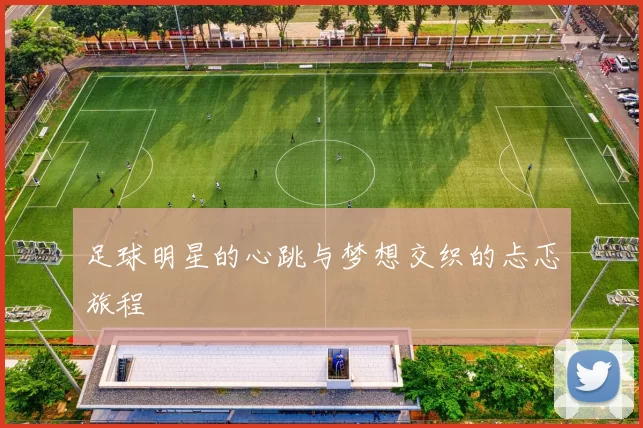 足球明星的心跳与梦想交织的忐忑旅程