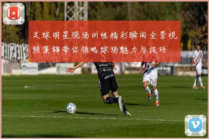 足球明星现场训练精彩瞬间全景视频集锦带你领略球场魅力与技巧