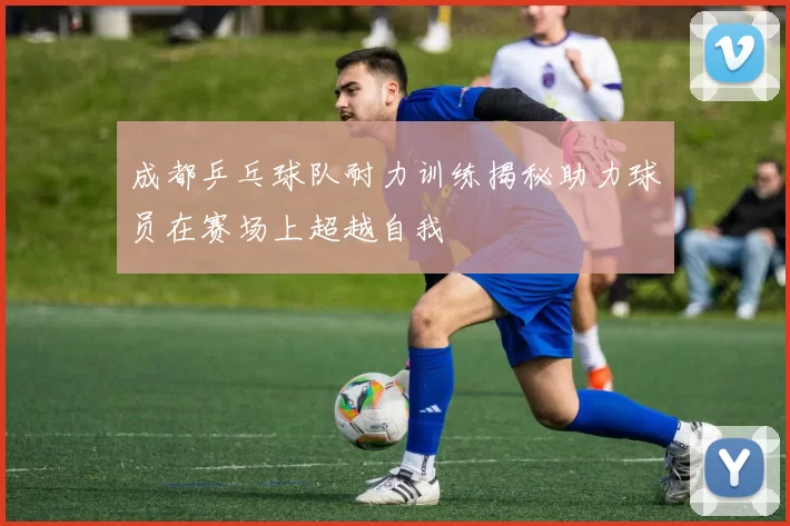 成都乒乓球队耐力训练揭秘助力球员在赛场上超越自我