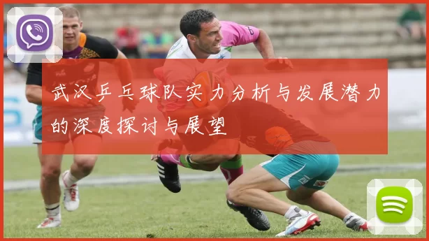 武汉乒乓球队实力分析与发展潜力的深度探讨与展望